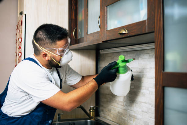 Best Pest Inspection Near Me  in Auburn, WA