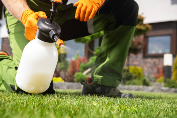 Best Exterminator Services  in Auburn, WA