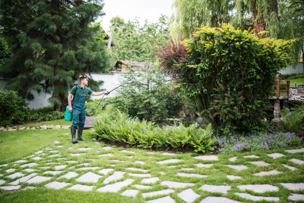 Best Commercial Pest Control Services  in Auburn, WA
