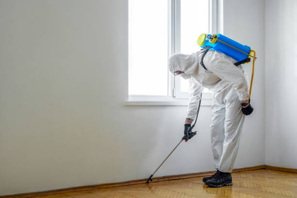 Best Exterminator Services  in Auburn, WA