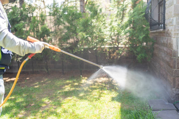 Reliable Auburn, WA Pest Control Solutions